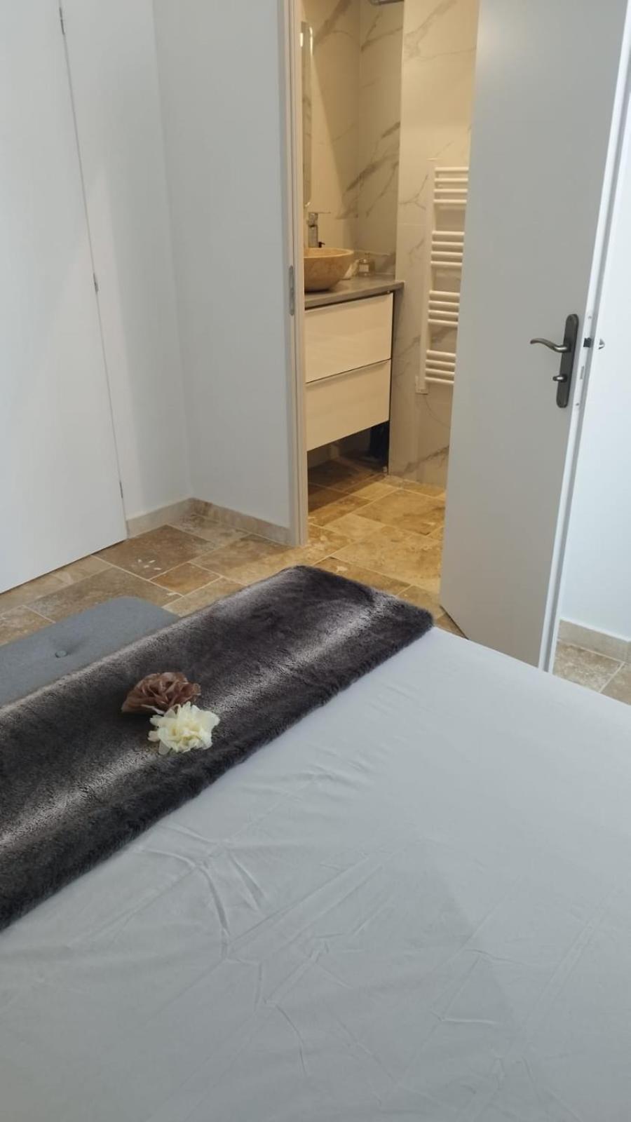 Appartement Lumineux En Rdc Bourgoin-Jallieu Exterior foto